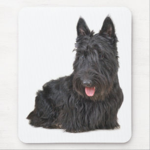 Love Scottish Terrier Puppy Dog Mousepad