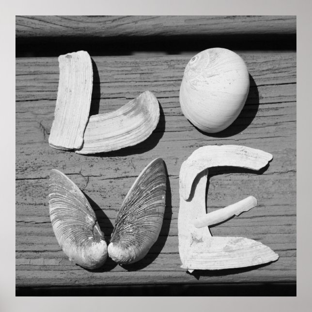 LOVE Shell Black and White Poster (Front)