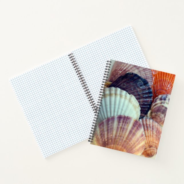 Love Shells Spiral Notebook (Inside)
