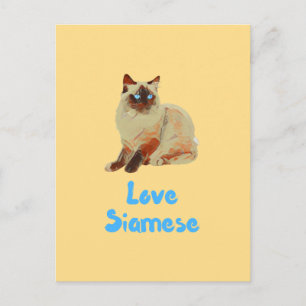 Love Siamese Cats Postcard