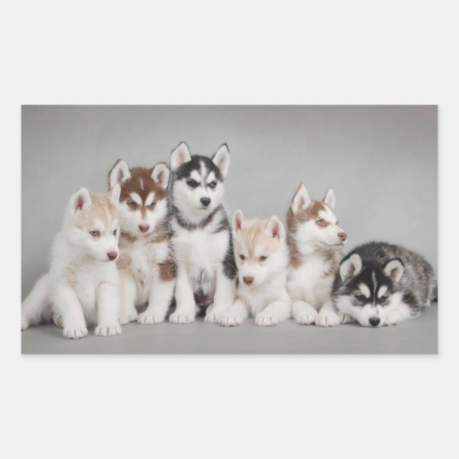 Love Siberian Huskies Rectangular Sticker (Front)