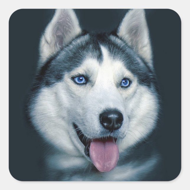 Love Siberian Husky Puppy Dog Greeting Stickers (Front)