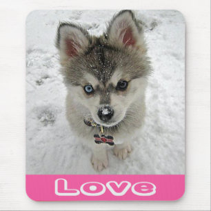 Love Siberian Husky Puppy Dog In Snow Mousepad