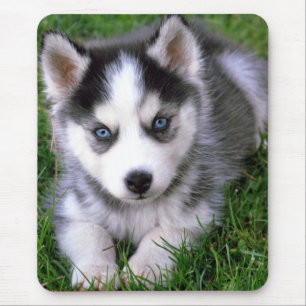 Love Siberian Husky Puppy Dog  Mousepad