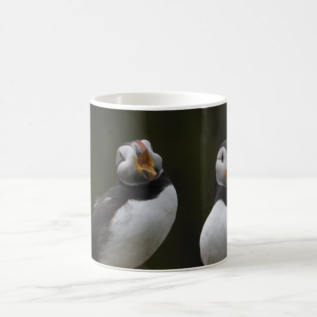 Love Song Puffins Coffee Mug (Center)