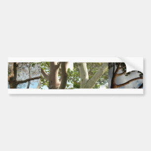 LOVE, spelled out by trees Bumper Sticker