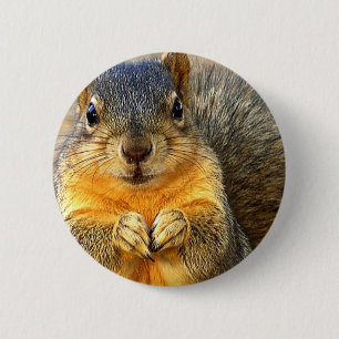 Love Squirrel_ 6 Cm Round Badge