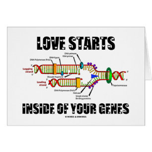 Love Starts Inside Of Your Genes (DNA Replication)