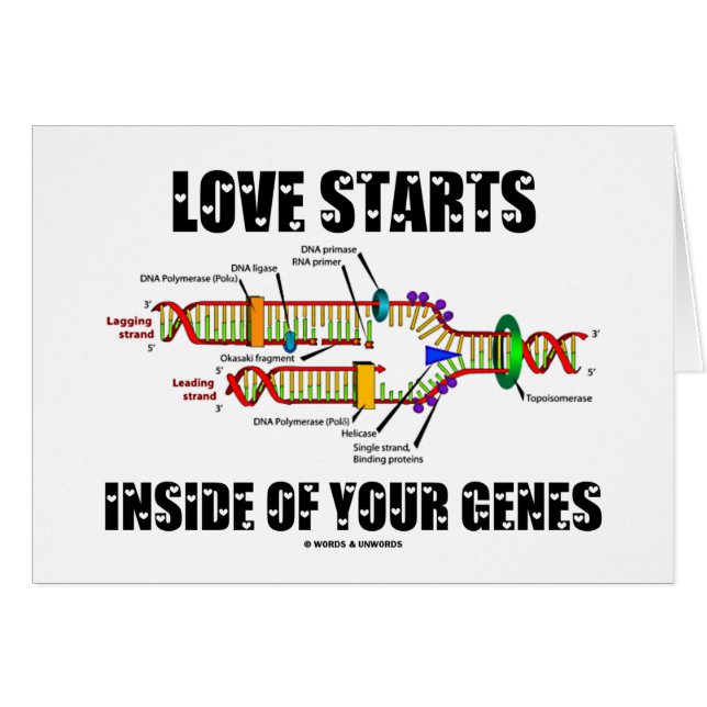 Love Starts Inside Of Your Genes (DNA Replication) (Front Horizontal)