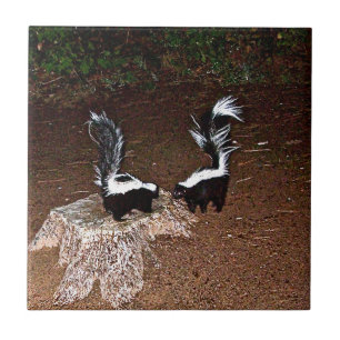 Love Stinks Ceramic Tile