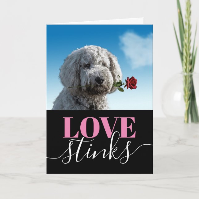 Love Stinks Funny Photo Valentine's Day Holiday Ca (Front)