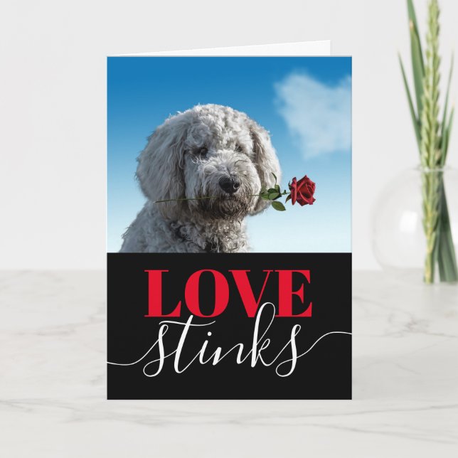 Love Stinks Funny Photo Valentine's Day Holiday Ca (Front)