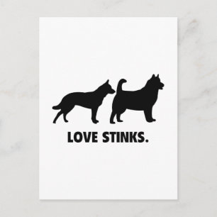 Love Stinks Postcard