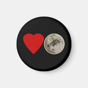 Love Thai Green Curry ... Thailand Street Food Magnet