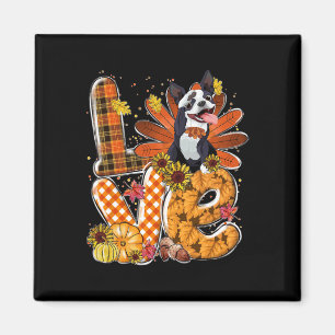 Love Thanksgiving Cute Boston Terrier Turkey Pumpk Magnet