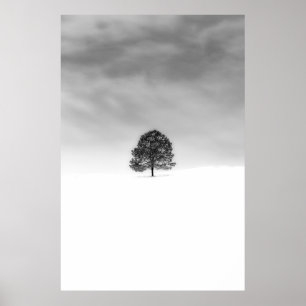 LOVE THE SIMPLICITY OF WINTER PHOTOGRAPHY THIS IS  POSTER