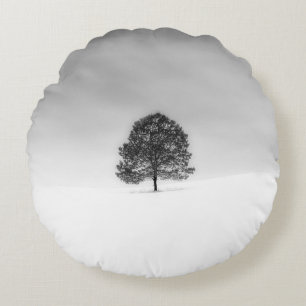 LOVE THE SIMPLICITY OF WINTER PHOTOGRAPHY THIS IS ROUND CUSHION