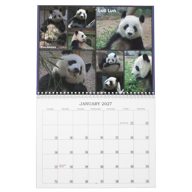 Love Those Pandas! 2011 Calendar (Jan 2027)