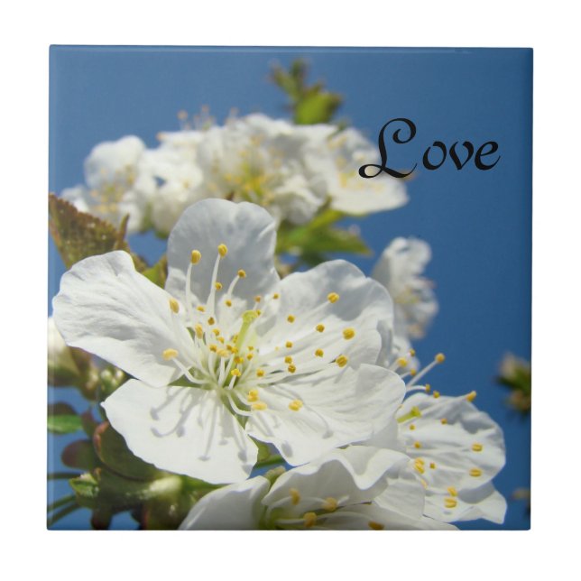 Love tile art Blue Sky Cherry Blossoms Flowers (Front)