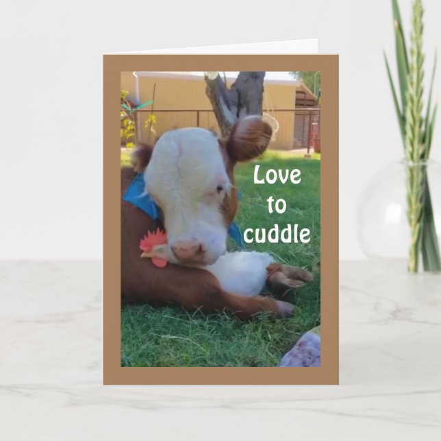LOVE TO *CUDDLE* WITH *YOU* ANNIVERSARY LOVE CARD (Front)
