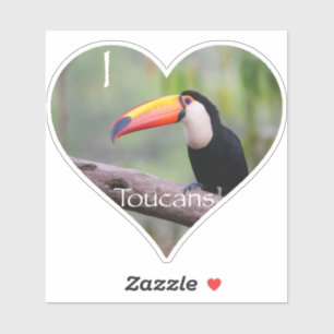 Love Toucans