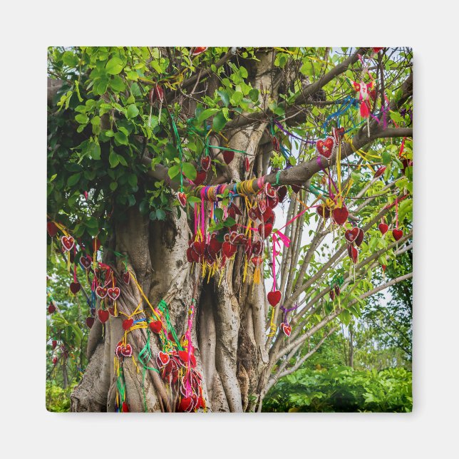 Love tree, Zhonghe - Yunnan, China Magnet (Front)