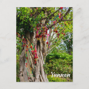 Love tree, Zhonghe - Yunnan, China Postcard