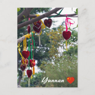 Love tree, Zhonghe - Yunnan, China Postcard