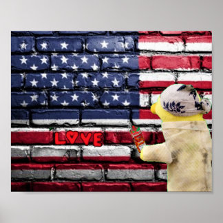 Love USA graffiti wall art. Poster