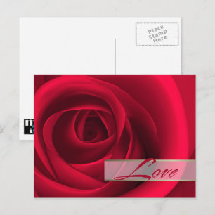 Love. Valentine's Day Red Rose Holiday Postcard