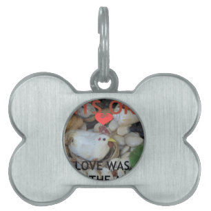 Love was in the Air Pet Name Tag