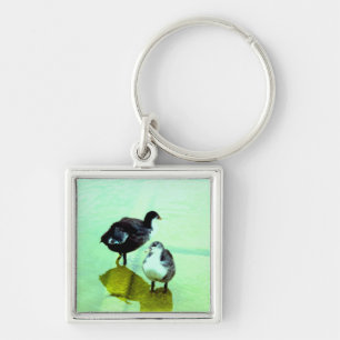 love, water and we live key ring