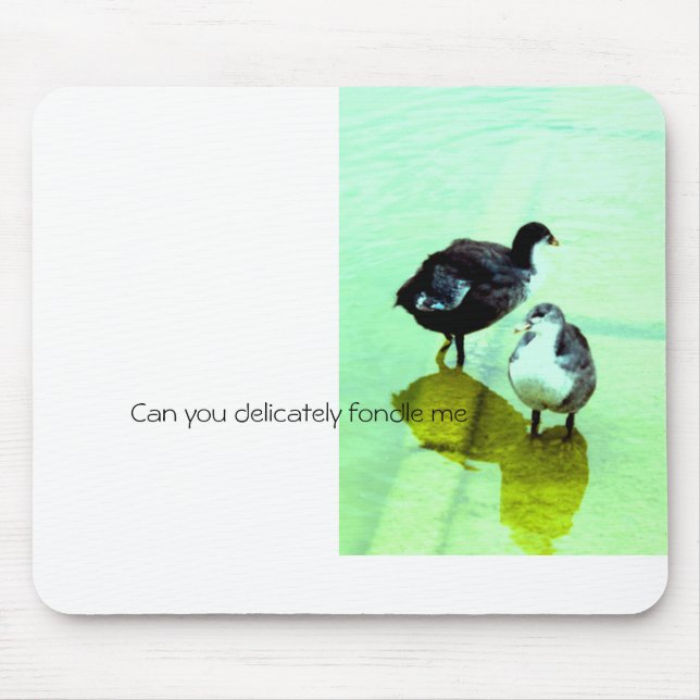 love, water and we live mouse pad (Front)