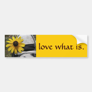 love what is 2 bumper sticker