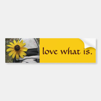 love what is 2 bumper sticker