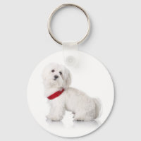 Love White Bichon Frise Puppy Dog Keychain
