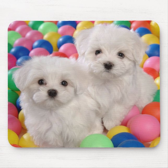 Love White Bichon Frise Puppy Dog Mousepad (Front)