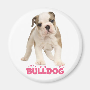 Love White English Bulldog Puppy Dog Magnet