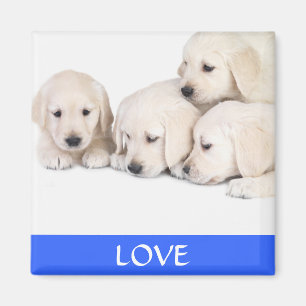 Love Yellow Labrador Retreiver Puppies Magnet