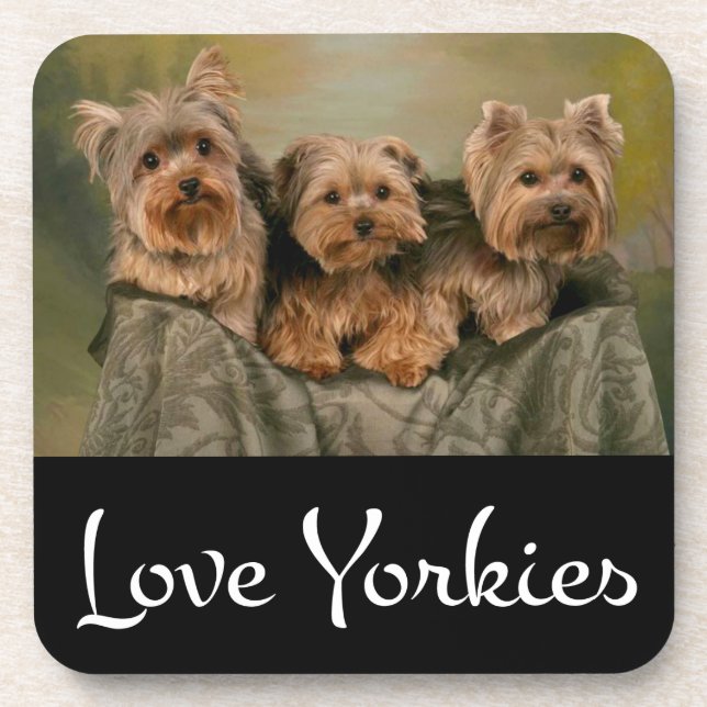 Love Yorkies Yorkshire Terrier Puppy Dog Coaster (Front)