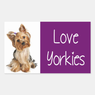Love Yorkies Yorkshire Terrier Puppy Dog Sticker