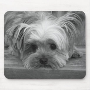 Love Yorkshire Terrier Puppy Dog Mousepad