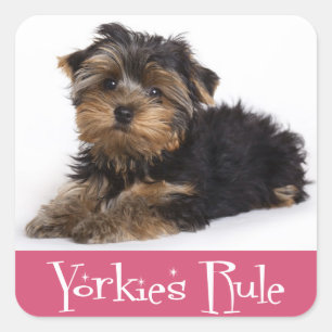 Love Yorkshire Terrier Puppy Dog Sticker / Seals