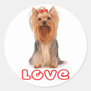 Love Yorkshire Terrier Puppy Dog Sticker / Seals