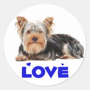 Love Yorkshire Terrier Puppy Dog Sticker / Seals