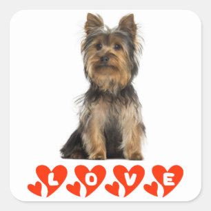 Love Yorkshire Terrier Puppy Dog Sticker / Seals