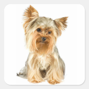 Love Yorkshire Terrier Puppy Dog Sticker / Seals