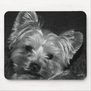 Love Yorkshire Terrier Puppy Mousepad