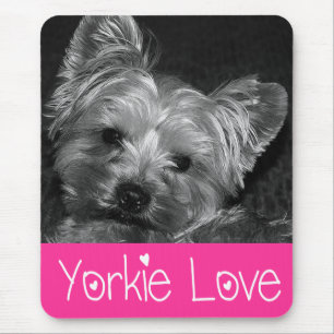 Love Yorkshire Terrier Puppy Mousepad