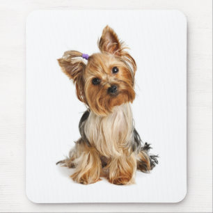 Love Yorkshire Terrier Puppy Mousepad